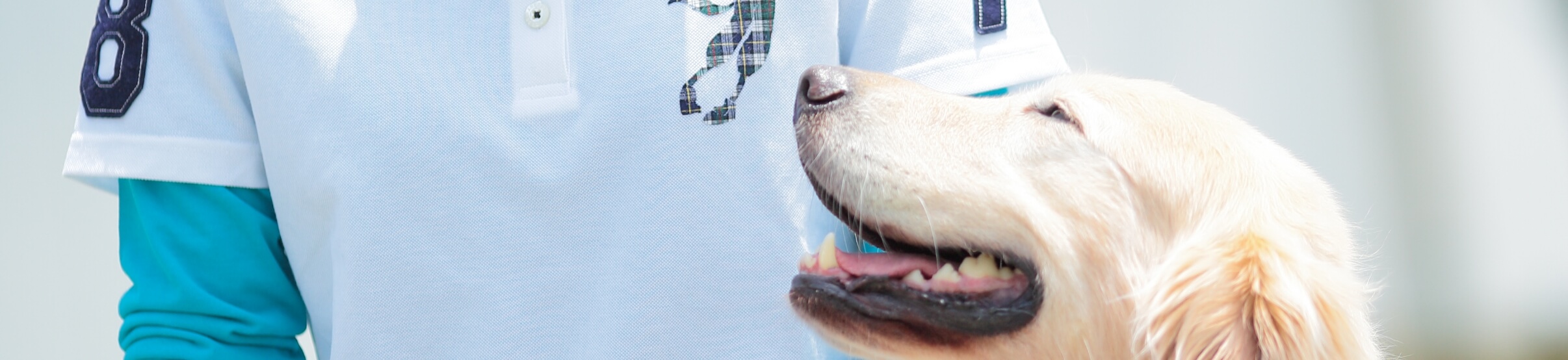 イメージ：一般社団法人Dog for Life Japanについて