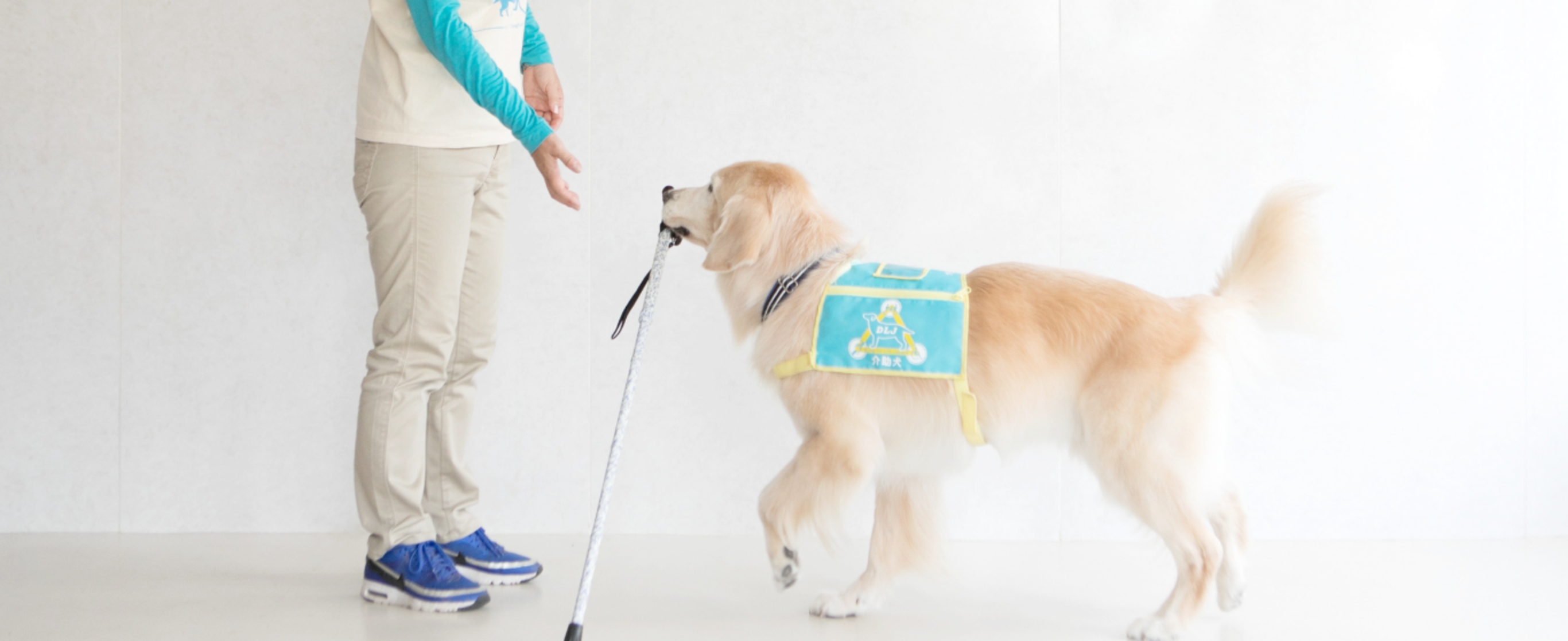 イメージ：Dog for Life Japan 犬と歩む人生をあなたへ