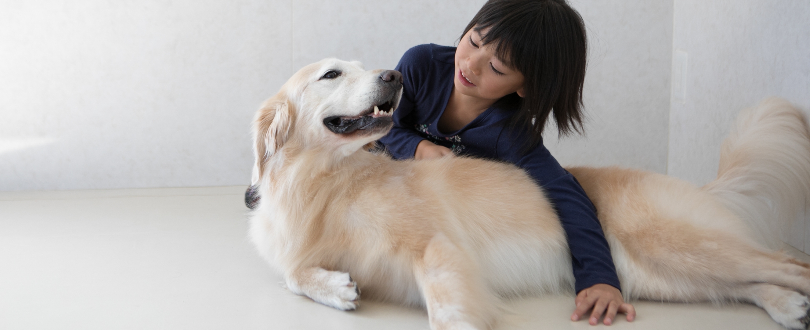 イメージ：Dog for Life Japan 犬と歩む人生をあなたへ