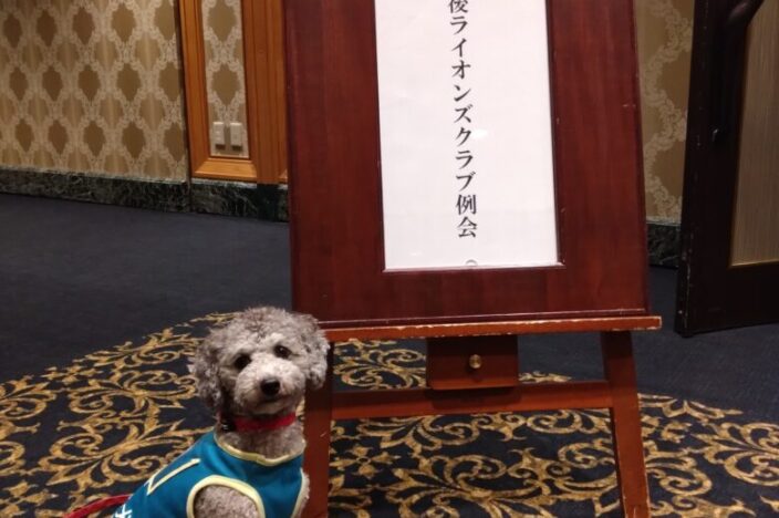 イメージ：松山道後ライオンズクラブ　事業報告と寄付金授与